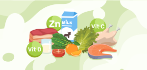 Illustration for the section Critical Roles of Micronutrients in the Immune System