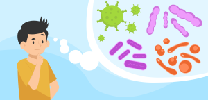 Illustration for the section What causes Pneumonia?