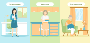 Illustration for the section What is perimenopause?