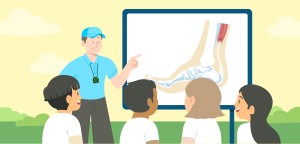 Illustration for the section What is the Difference Between a Sprain and a Strain?