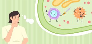 Illustration for the section What is the immune system?