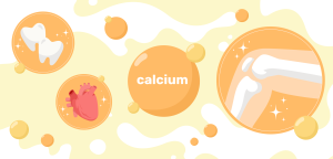 Illustration for the section Why is Calcium A Vital Nutrient?