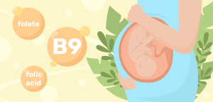 Illustration for the section Why is folic acid important during pregnancy?