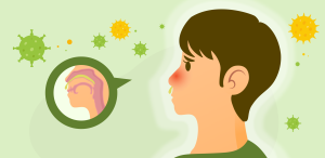 Illustration for the section Why do we have a stuffy nose?