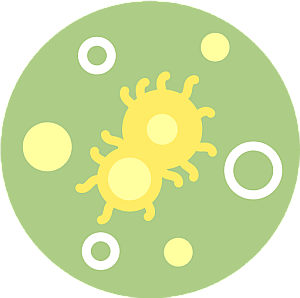 Cell Growth and Division product photo