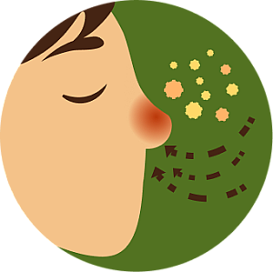 Allergic Rhinitis product photo