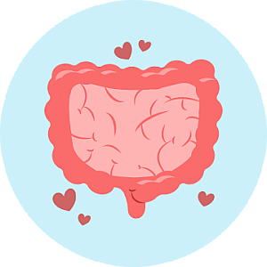 Helps Improve Gut Health product photo